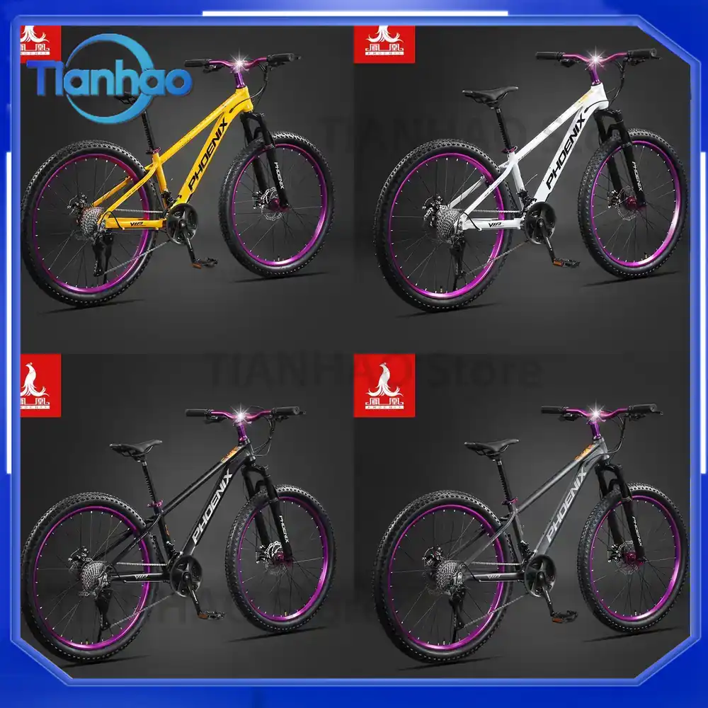 Vélo de montagne en alliage d' - Mountain Biking Phoenix avis et prix