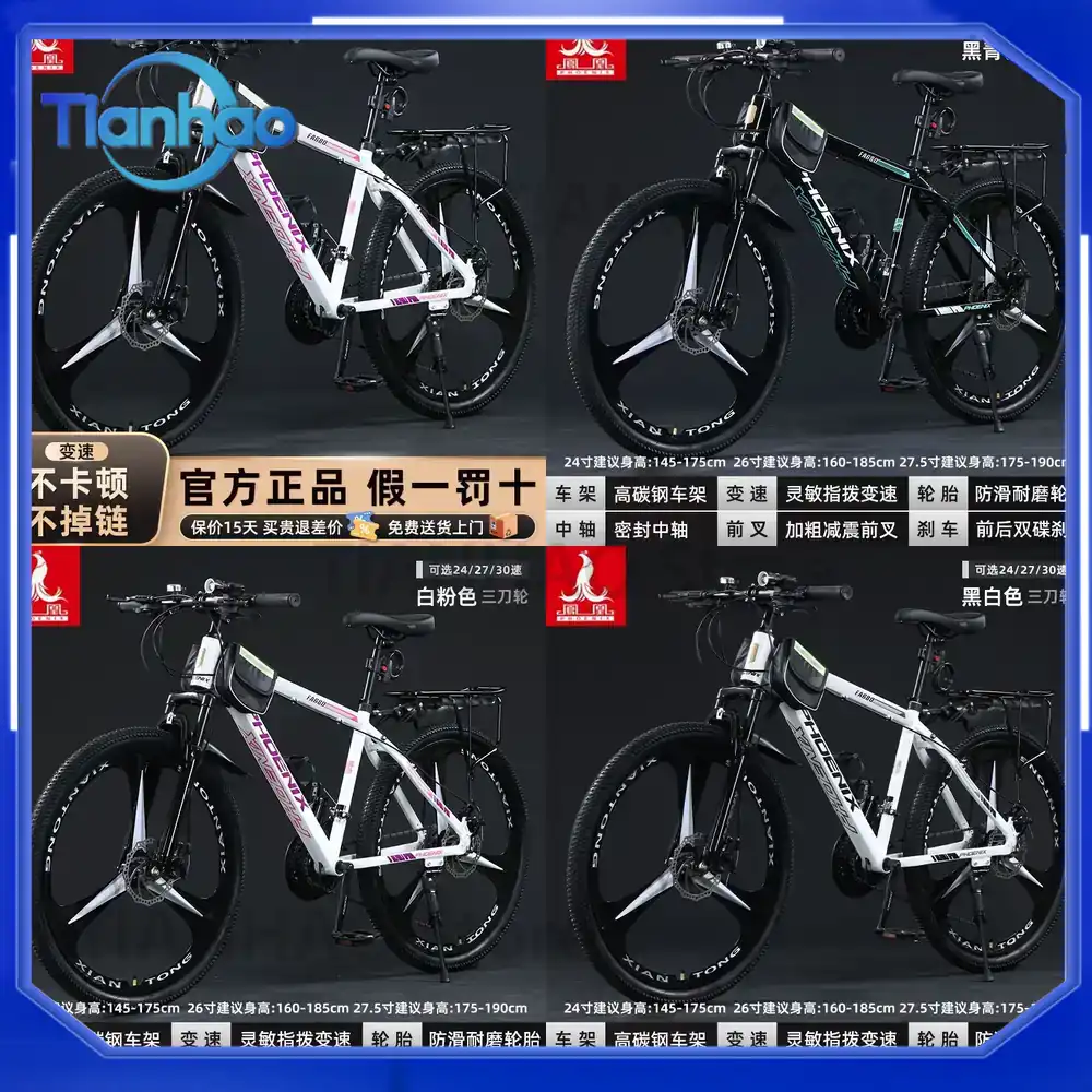 Vélo de montagne en aluminium  - Mountain Biking Phoenix avis et prix