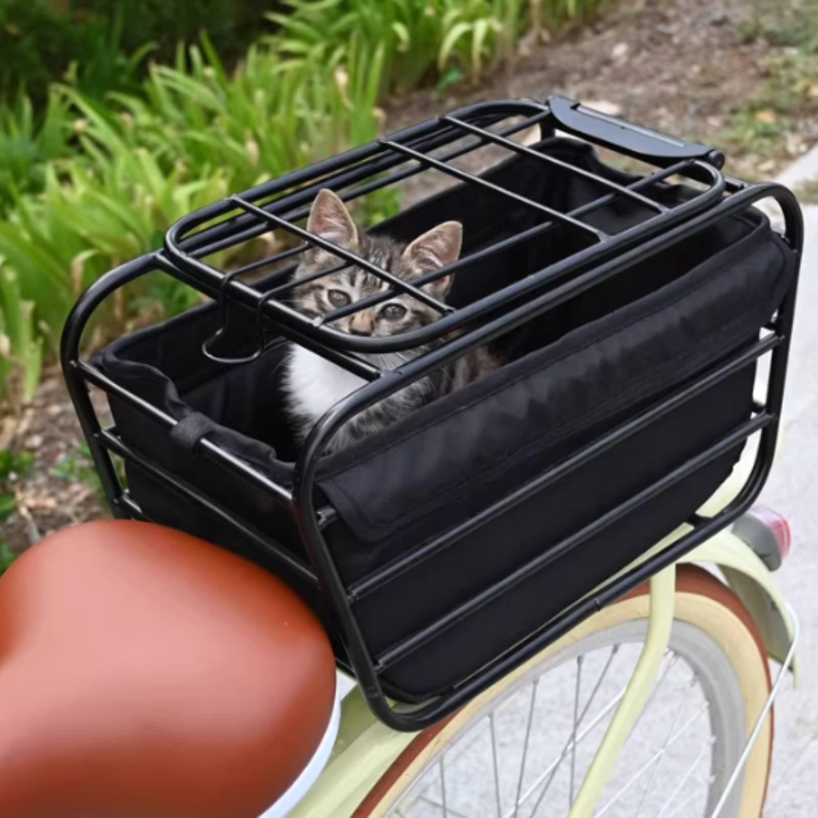 Panier de vélo avec sangle pou - Mountain Biking With Dog avis et prix