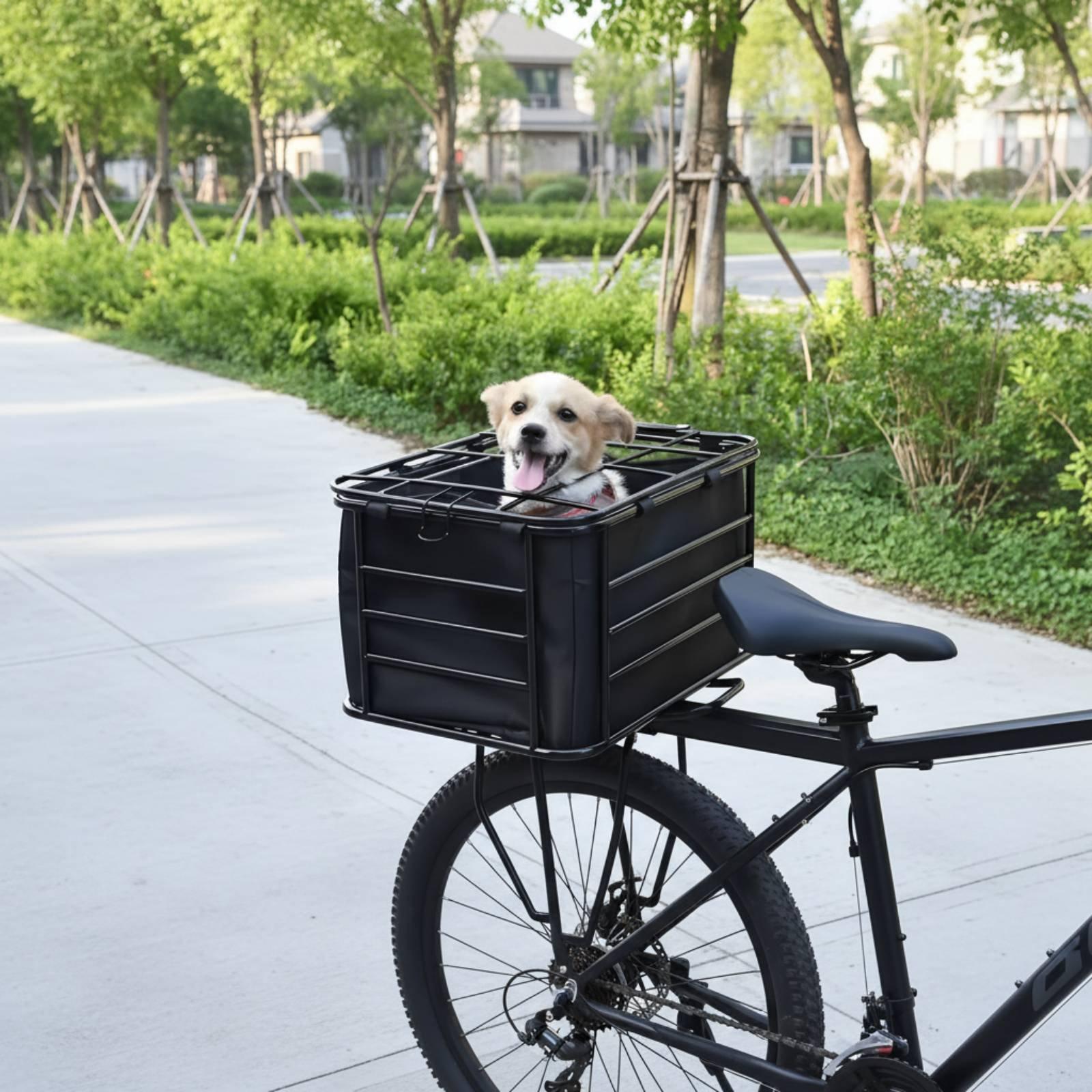 Panier de vélo avec sangle pou - Mountain Biking With Dog avis et prix