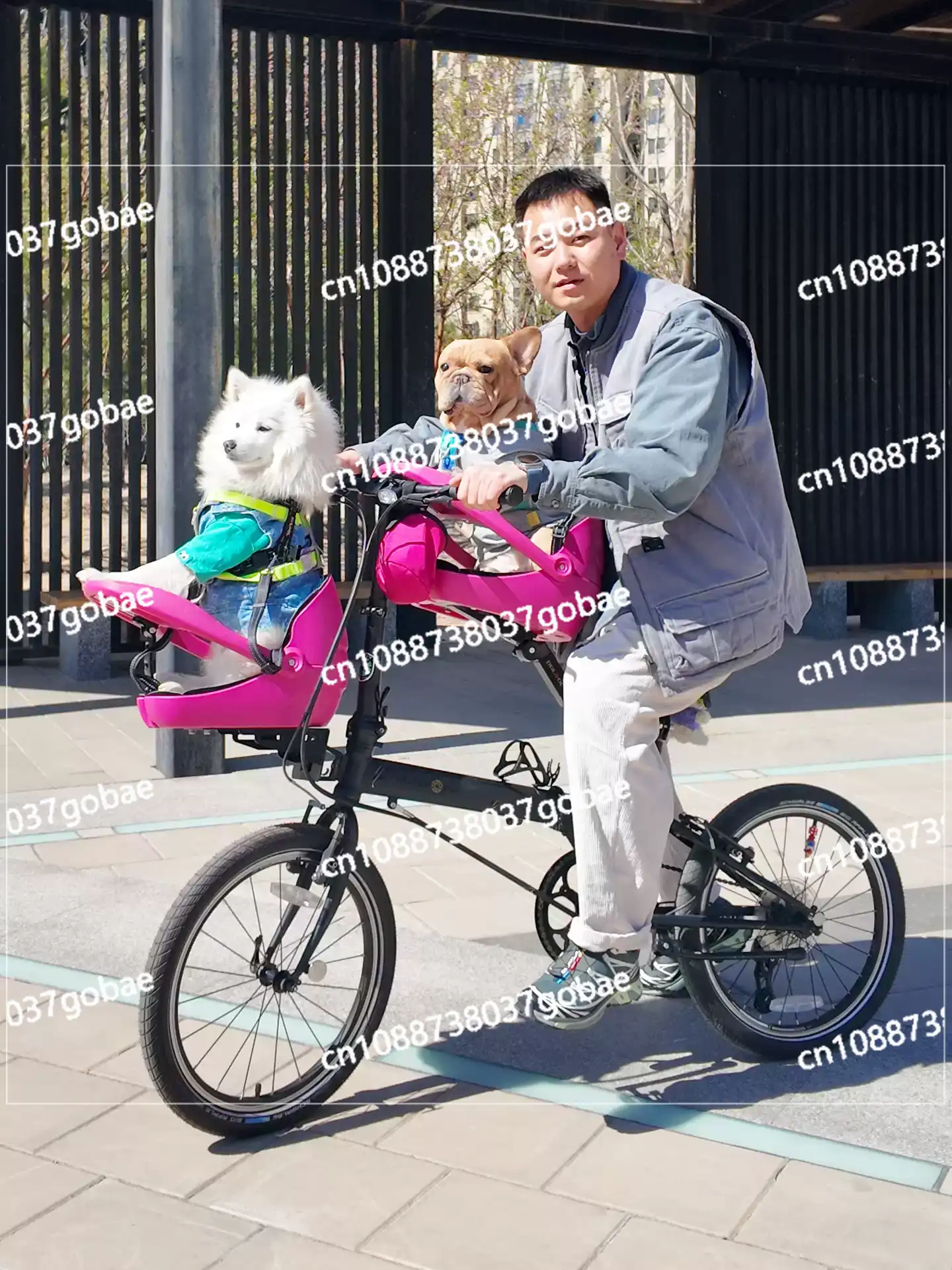 Convient aux vélos pliants, VT - Mountain Biking With Dog avis et prix